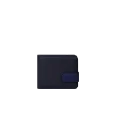 Raniero Blue
