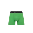 Ragaz Dark Grass Green