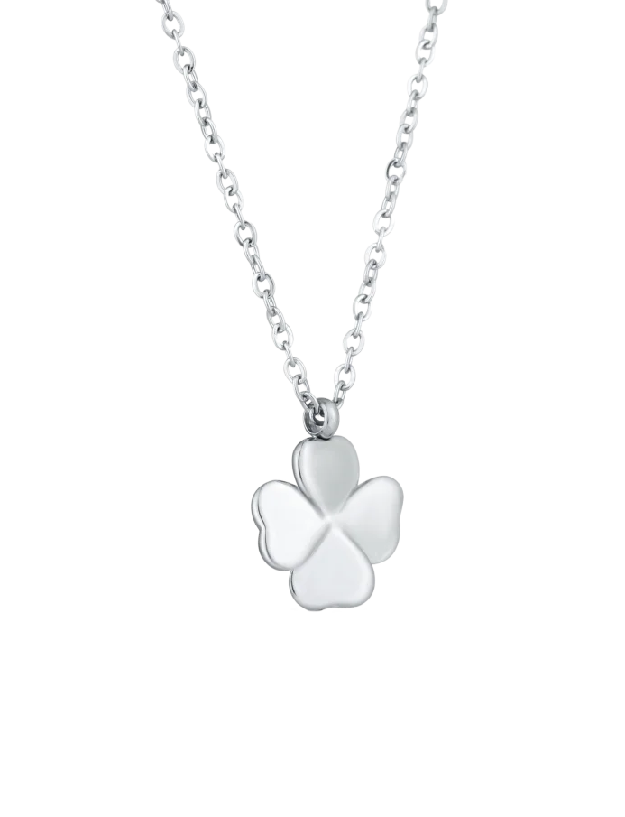 Ogrlica Fouria Silver