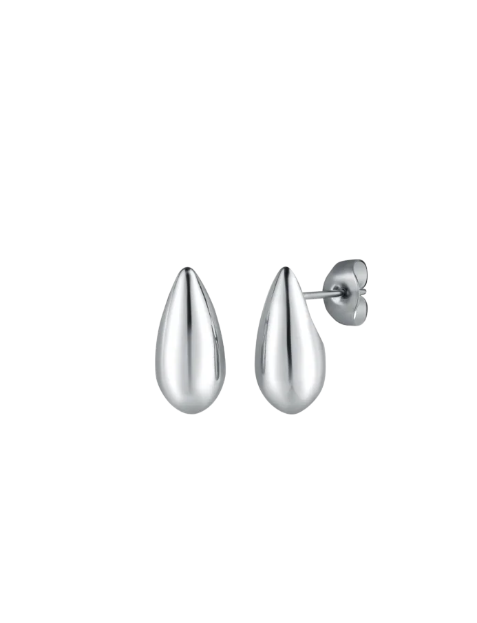 Naušnice Lurea Silver
