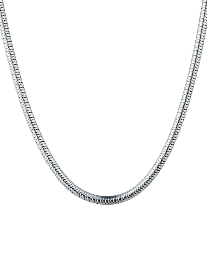 Ogrlica Olen Silver