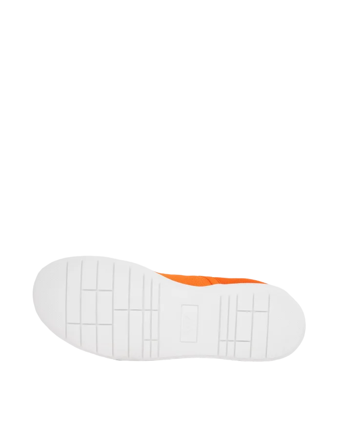Seraphyn Nectarine - 39