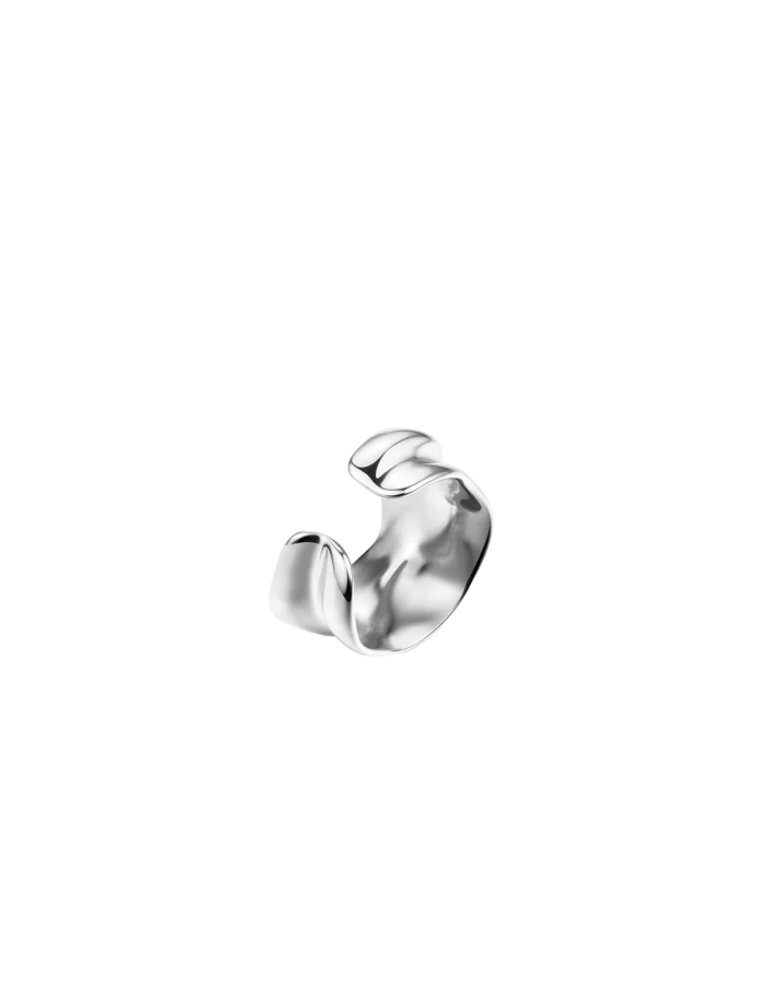Naušnice Obsid Silver