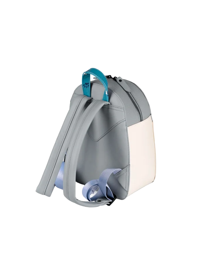Dog walkers backpack