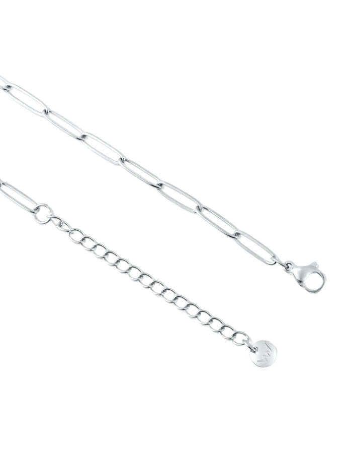 Ogrlica Isel Silver