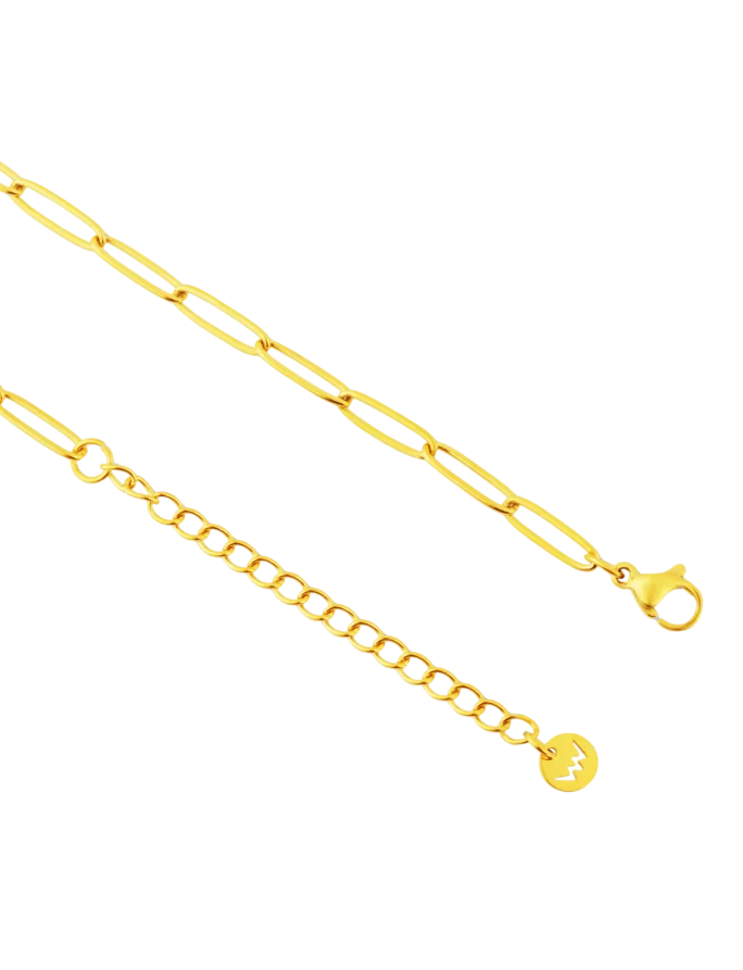 Ogrlica Isel Gold