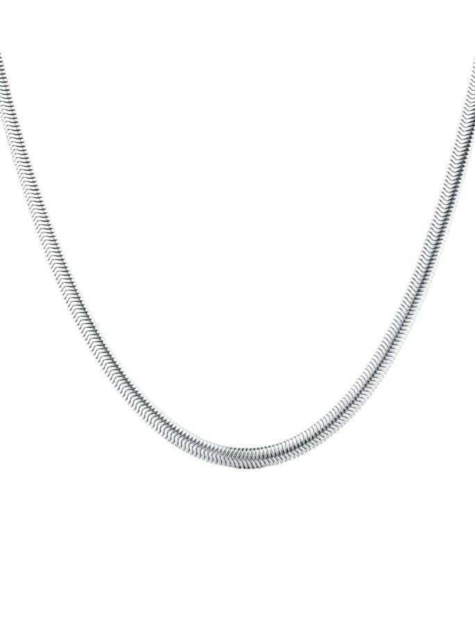 Ogrlica Evoa Silver