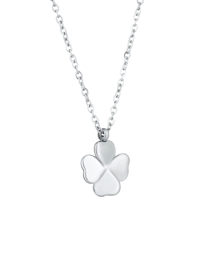 Ogrlica Fouria Silver