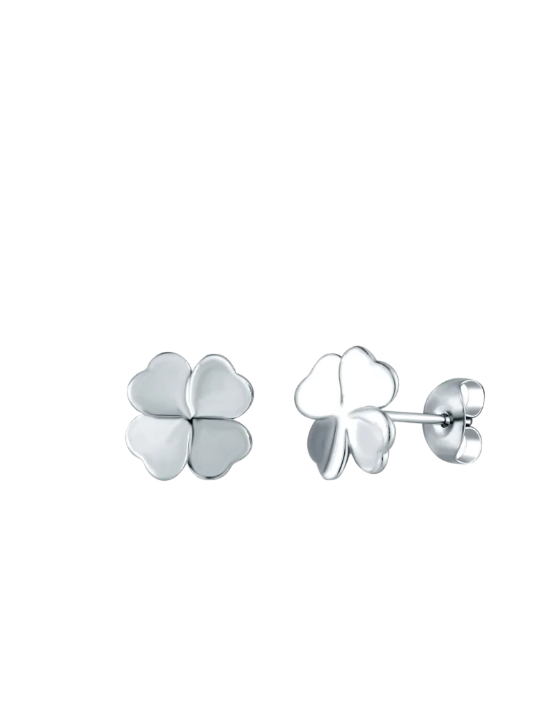 Naušnice Fouria Silver