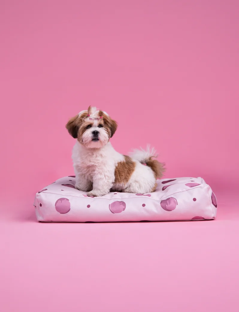 Buddys Dotty Beige