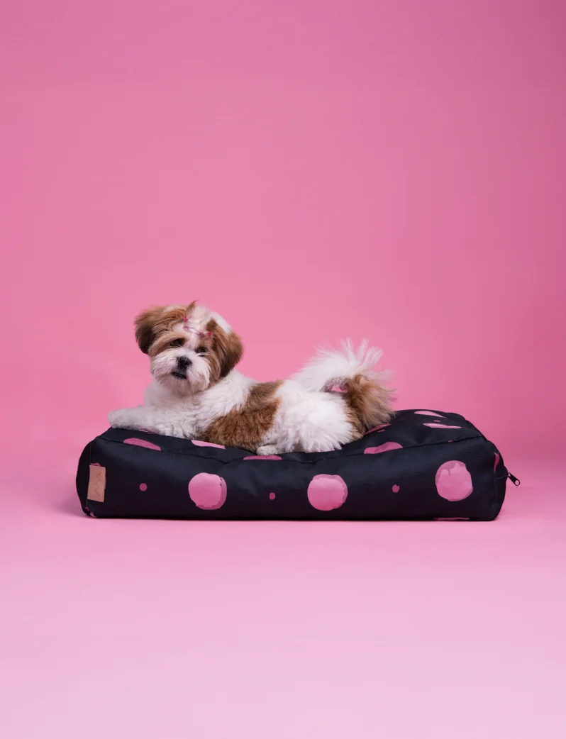 Buddys Dotty Black