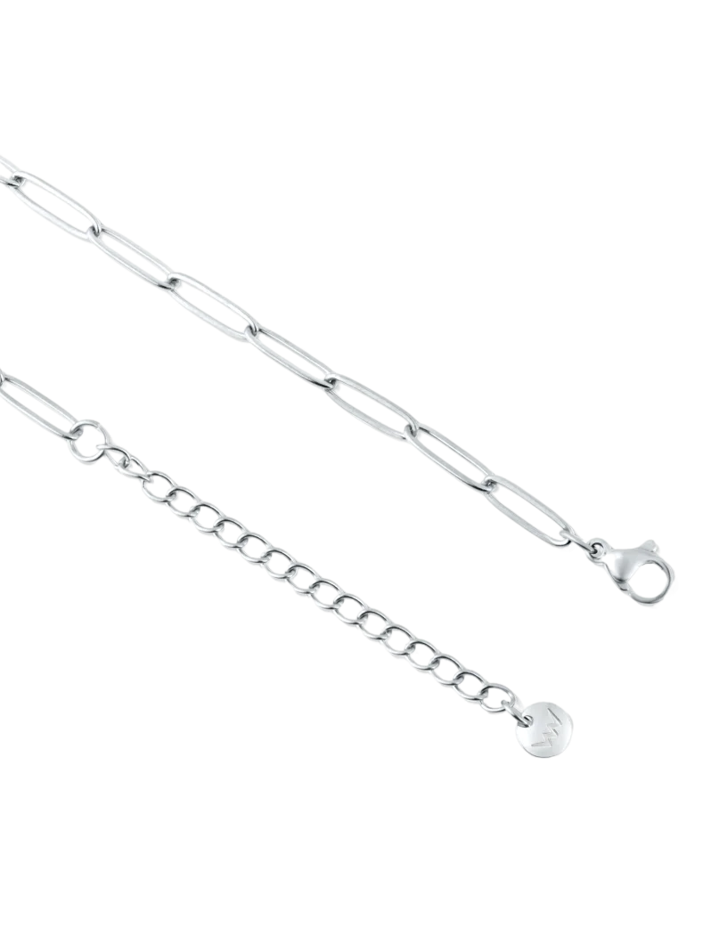 Ogrlica Isel Silver