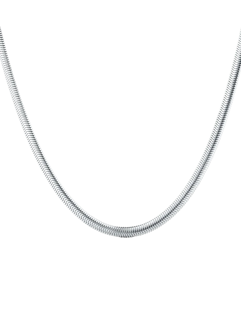 Ogrlica Evoa Silver