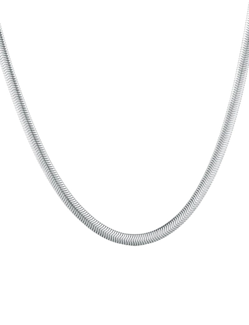 Ogrlica Evoa Silver
