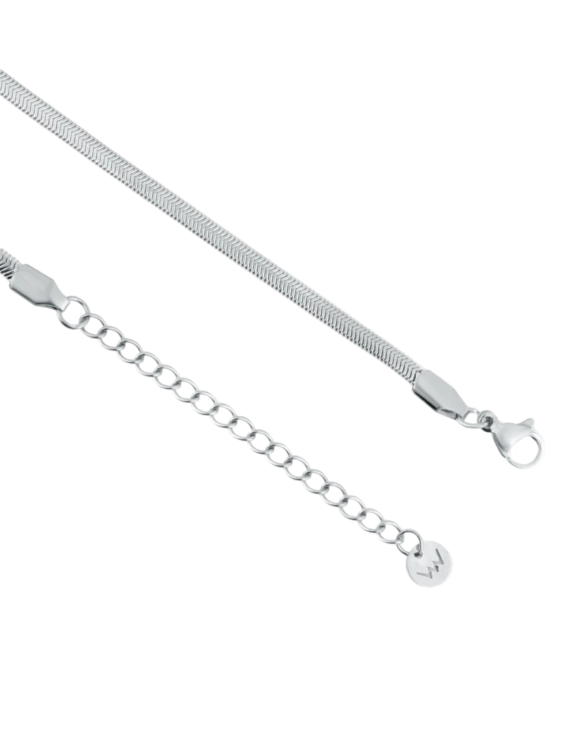 Ogrlica Evoa Silver