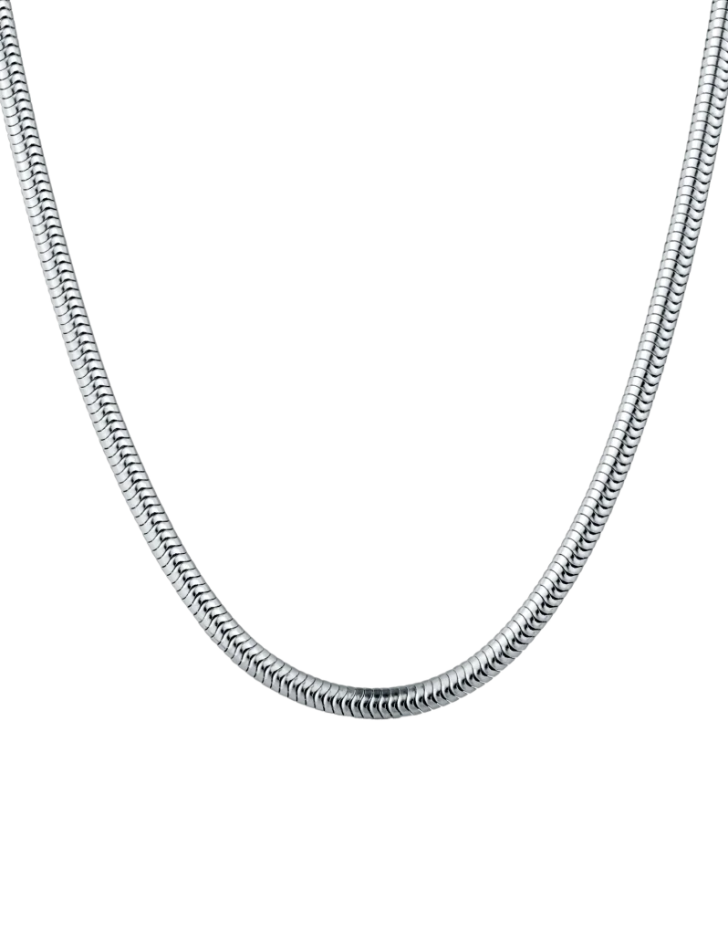 Ogrlica Olen Silver