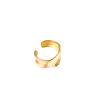 Naušnice Obsid Gold